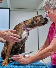 kompleTIER AG Bild 3