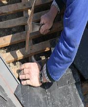 Bourdic Thierry image 2