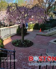 Boston Landscape Co. image 10