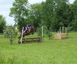Centre Equestre De Sully image 1
