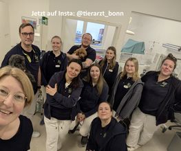 Unser Team