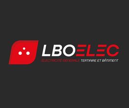 Lbo Elec image 6