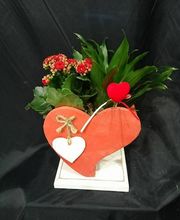 Floristería Imabel imagen 9