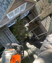 Climbers Tree Care Specialist, Inc. image 4