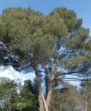 JDE image 8