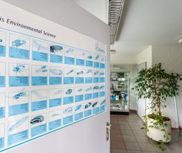 Reinelt & Temp GmbH