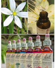 Jauréguy Christine image 5