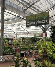 HORNBACH Gartencenter Chemnitz-Markersdorf Bild 2