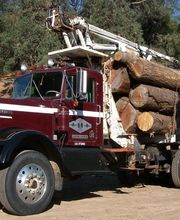 Creston Sawmill image 1