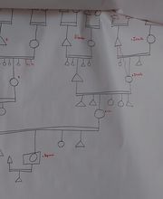 Orsini Véronique image 6