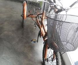 Gofis Bici imagen 13