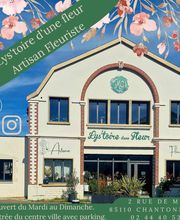 Lys'toire d'une fleur image 11