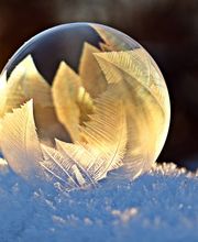 Sabin Marketing and Promotions image 5