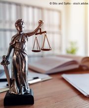 Alexa Nitschke Rechtsanwältin, Mediatorin Bild 1