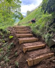 ONSFOREST Sagl Bild 3