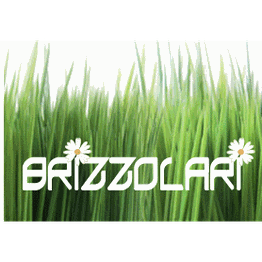 Brizzolari logo