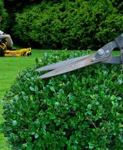 Globe nettoyage Bild 8