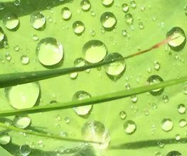 mit weniger stress leben Bild 6