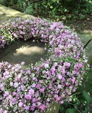 Das kleine Dachstübchen Bild 12