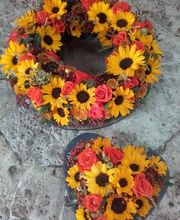 Blütenpracht Hirschi GmbH Bild 6