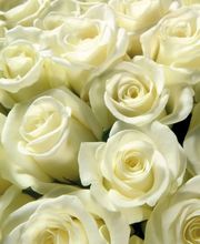 Floral'Is E.I. image 3