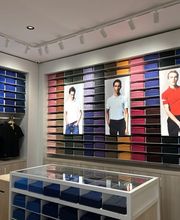 Polo Area