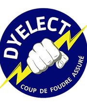Dyelect image 1