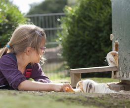 Kinderbauernhof Wigger Bild 18