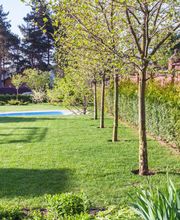 Établissement LG image 2