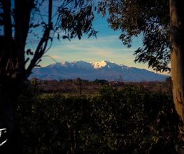 Les Cottages de Perpignan image 4