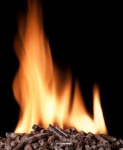 Potdevin Ludovic image 9