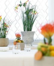 Ristorante Locanda Orico da Albrici Bild 10