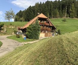 Waldrand Beizli Bild 11