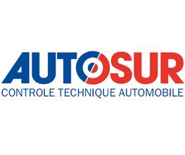 Autosur image 6