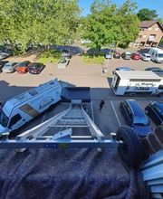 Die Umzugslöwen De Moll Bild 5