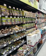 ZOOMALIA Saint-Maixent - Azay 79 | Animalerie image 18