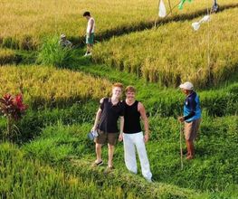 Team Workation auf Bali
