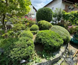 Daily Gartenpflege Bild 7