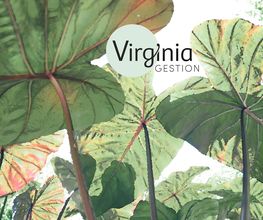 Virginia Gestion image 1