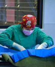 Archer Veterinary Clinic image 16