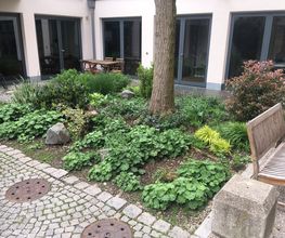 IMG_2765.JPG