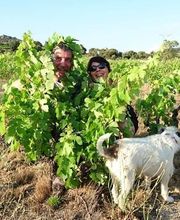 Domaine Rousselin image 8