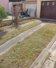 Le Jardin De Mes Reves Conan image 9