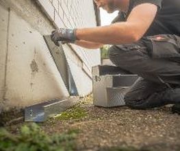 DETEK Schädlingsbekämpfung & Kammerjäger Bottrop - NRW Bild 1