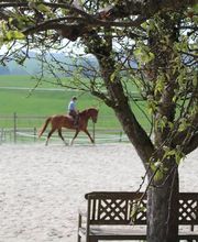 Les Ecuries de la Joux Bild 1