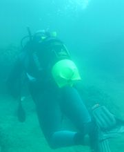 Domenico Rizzi immagine 17