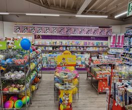 Rofu Kinderland Kleve Bild 5