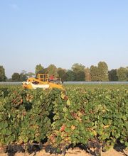 Château Bouffevent SCEA image 1