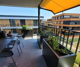 Gartenbau Hoch3 Bild 12