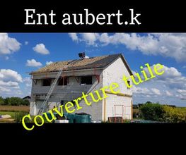 Ent Aubert K image 16